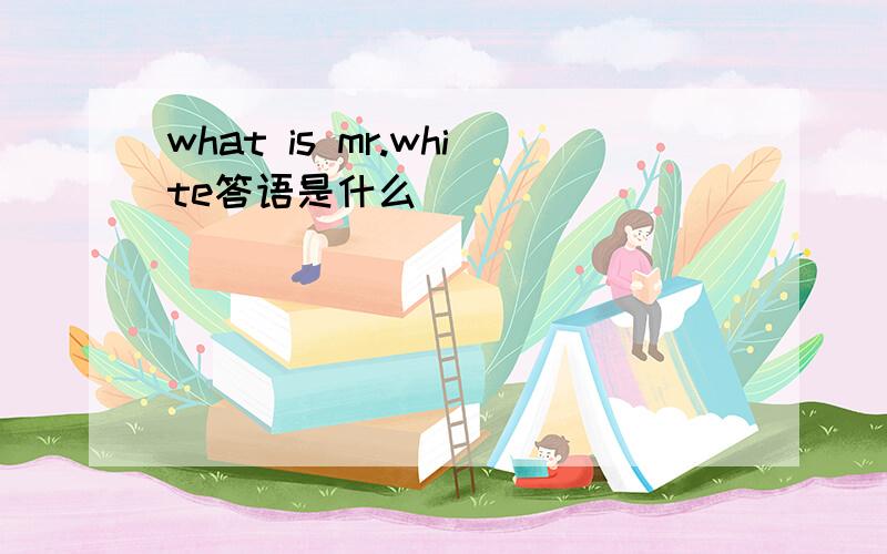 what is mr.white答语是什么