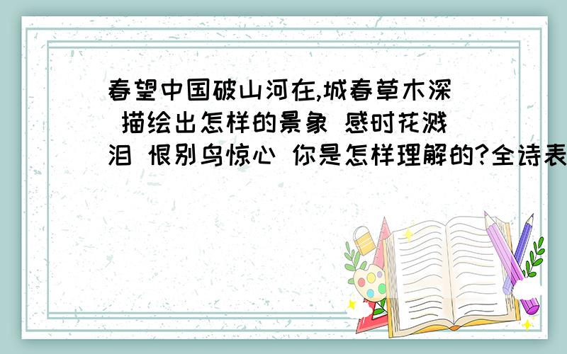 春望中国破山河在,城春草木深 描绘出怎样的景象 感时花溅泪 恨别鸟惊心 你是怎样理解的?全诗表达了诗人怎样的思想感情?下面的也是问题