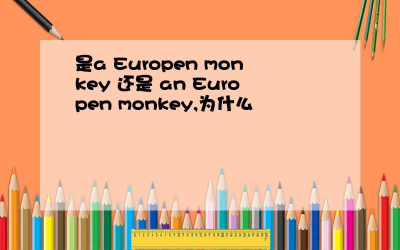 是a Europen monkey 还是 an Europen monkey,为什么