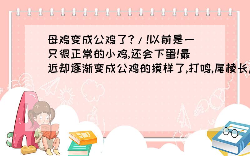 母鸡变成公鸡了?/!以前是一只很正常的小鸡,还会下蛋!最近却逐渐变成公鸡的摸样了,打鸣,尾棱长,出现鸡冠…… 这是怎么一回事啊?有权威的回答吗?