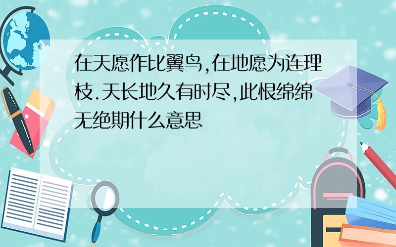 在天愿作比翼鸟,在地愿为连理枝.天长地久有时尽,此恨绵绵无绝期什么意思