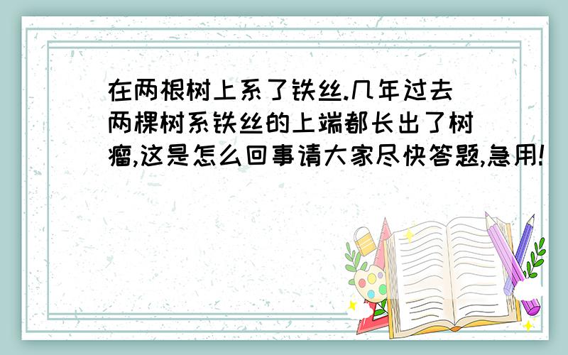 在两根树上系了铁丝.几年过去两棵树系铁丝的上端都长出了树瘤,这是怎么回事请大家尽快答题,急用!