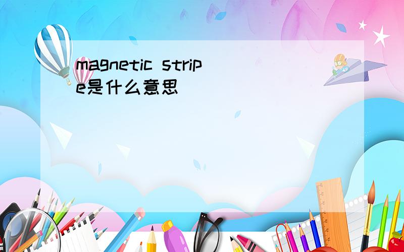 magnetic stripe是什么意思