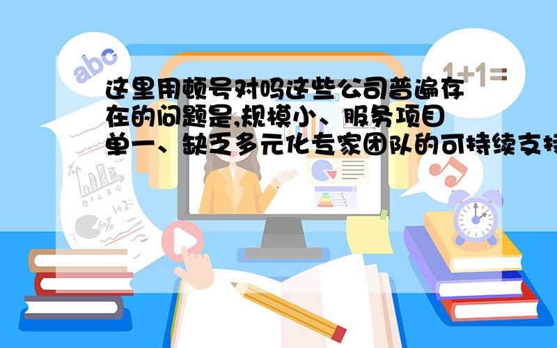 这里用顿号对吗这些公司普遍存在的问题是,规模小、服务项目单一、缺乏多元化专家团队的可持续支持.