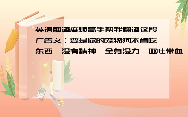 英语翻译麻烦高手帮我翻译这段广告文：要是你的宠物狗不肯吃东西,没有精神,全身没力,呕吐带血,甚至腹泻黑血,那么它可能中了死亡率达90%的病毒.大多数兽医都对此没办法,只会尽量对狗打