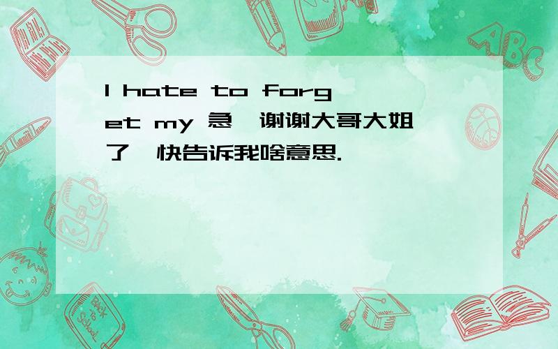 I hate to forget my 急、谢谢大哥大姐了、快告诉我啥意思.