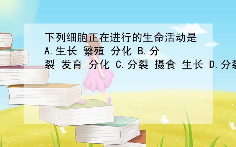 下列细胞正在进行的生命活动是A.生长 繁殖 分化 B.分裂 发育 分化 C.分裂 摄食 生长 D.分裂、生长、生长 请写出各项的判断依据和理由,