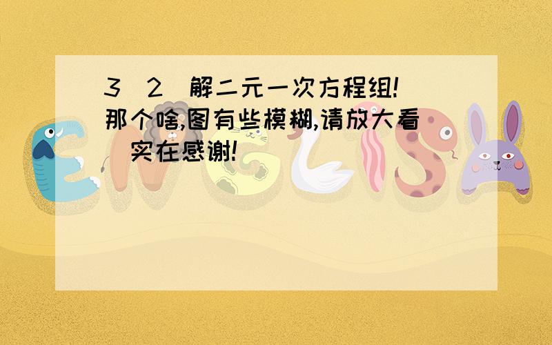 3(2)解二元一次方程组!(那个啥,图有些模糊,请放大看)实在感谢!