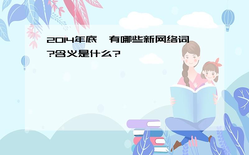 2014年底,有哪些新网络词?含义是什么?