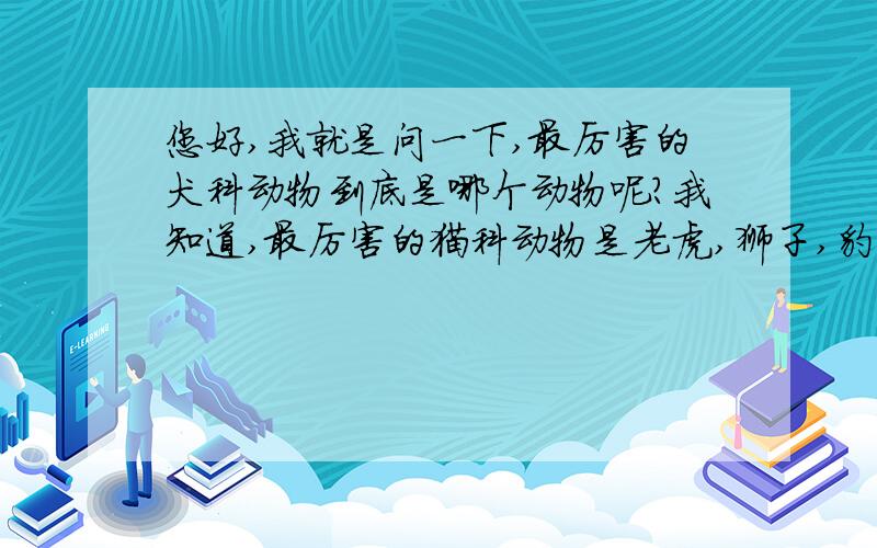 您好,我就是问一下,最厉害的犬科动物到底是哪个动物呢?我知道,最厉害的猫科动物是老虎,狮子,豹.我说的犬科动物指的是野生动物,不包括家里养的狗.我主要想知道,最厉害的犬科动物到底是