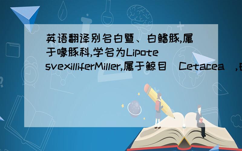 英语翻译别名白暨、白鳍豚,属于喙豚科,学名为LipotesvexilliferMiller,属于鲸目(Cetacea),白暨豚科.识别特点为：吻突狭长,长约300毫米.额部圆而隆起.背鳍三角形,位于身体的3/5处,有低皮肤脊与尾鳍