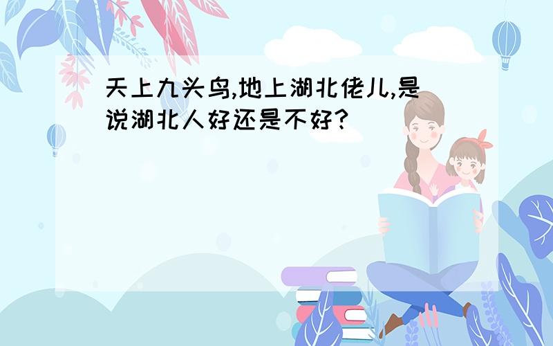 天上九头鸟,地上湖北佬儿,是说湖北人好还是不好?