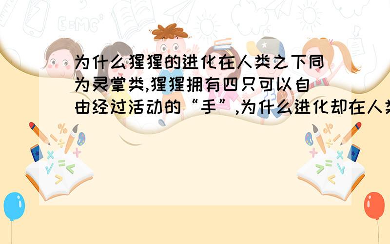 为什么猩猩的进化在人类之下同为灵掌类,猩猩拥有四只可以自由经过活动的“手”,为什么进化却在人类之下,它们的脚进化的那么高级,智