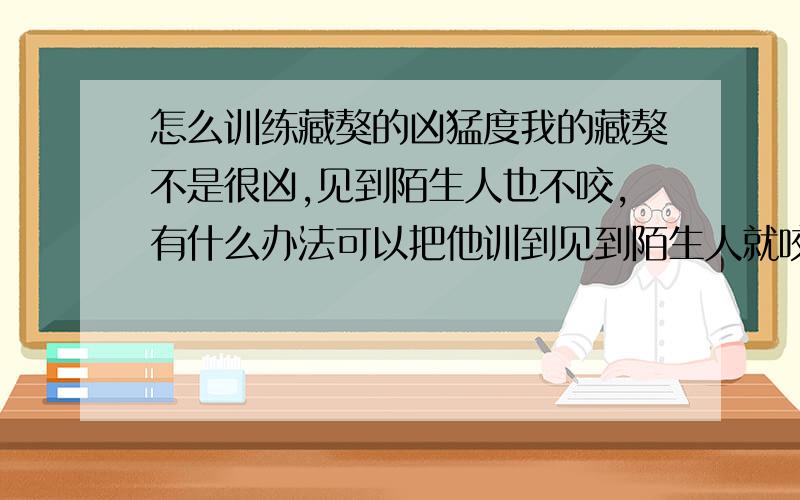 怎么训练藏獒的凶猛度我的藏獒不是很凶,见到陌生人也不咬,有什么办法可以把他训到见到陌生人就咬