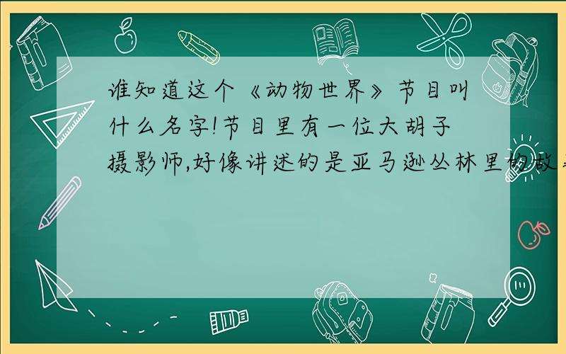 谁知道这个《动物世界》节目叫什么名字!节目里有一位大胡子摄影师,好像讲述的是亚马逊丛林里的故事,这位摄影师就住在热带玉林里进行拍摄.节目开头是一首清脆的笛声.笛声的节奏大概