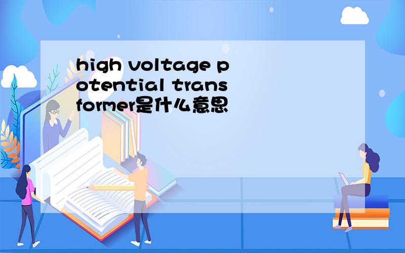 high voltage potential transformer是什么意思