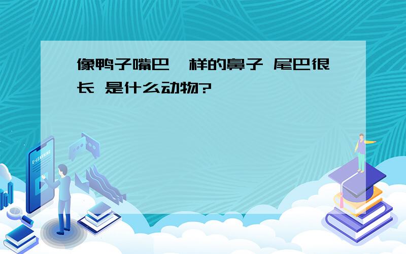 像鸭子嘴巴一样的鼻子 尾巴很长 是什么动物?