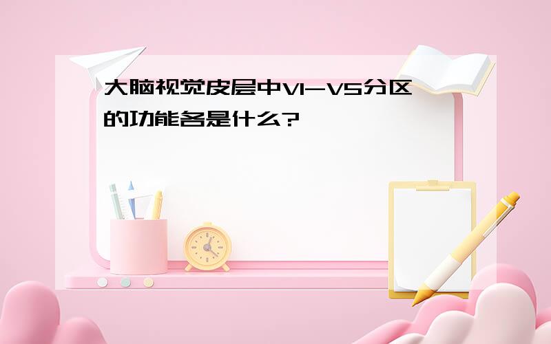 大脑视觉皮层中V1-V5分区的功能各是什么?