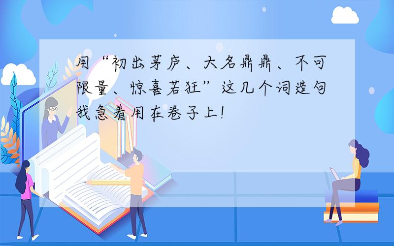 用“初出茅庐、大名鼎鼎、不可限量、惊喜若狂”这几个词造句我急着用在卷子上!