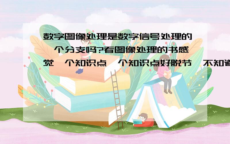 数字图像处理是数字信号处理的一个分支吗?看图像处理的书感觉一个知识点一个知识点好脱节,不知道来龙去脉,尤其是数学部分,什么公式都是理所当然的给出,对于我这样刚接触的人来说学