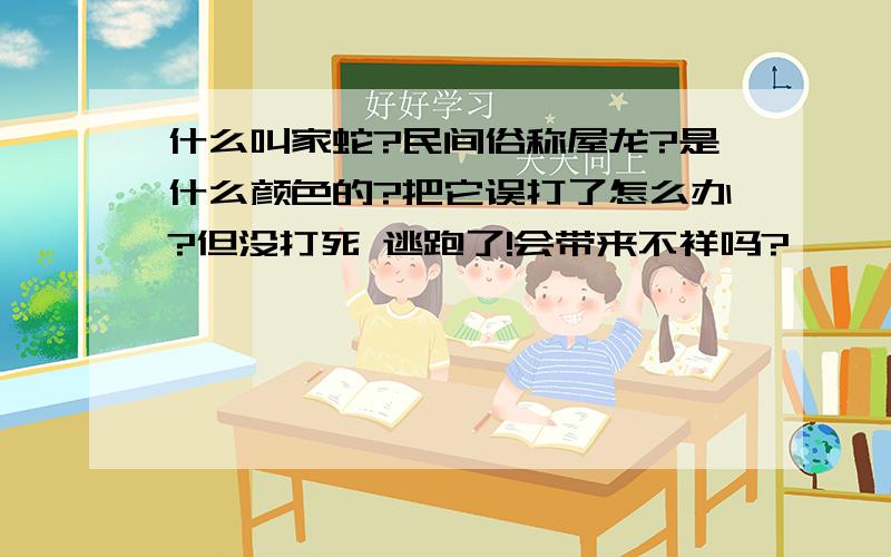 什么叫家蛇?民间俗称屋龙?是什么颜色的?把它误打了怎么办?但没打死 逃跑了!会带来不祥吗?