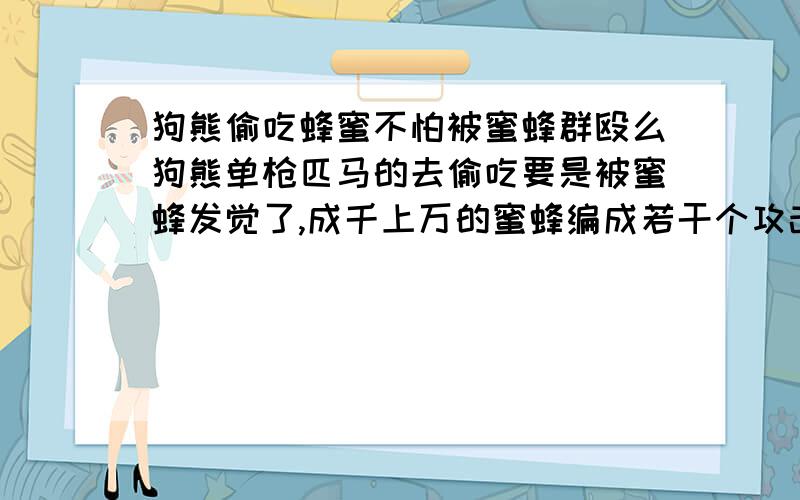 狗熊偷吃蜂蜜不怕被蜜蜂群殴么狗熊单枪匹马的去偷吃要是被蜜蜂发觉了,成千上万的蜜蜂编成若干个攻击波那狗熊受得了么?