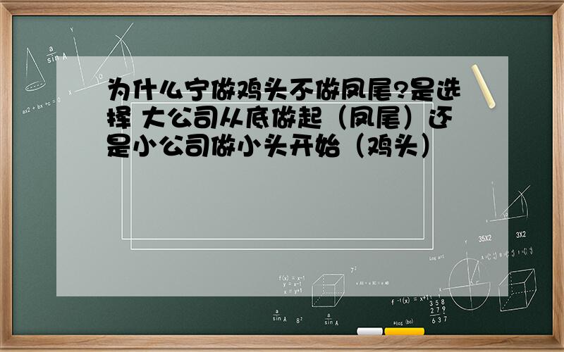 为什么宁做鸡头不做凤尾?是选择 大公司从底做起（凤尾）还是小公司做小头开始（鸡头）