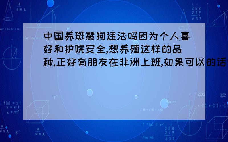 中国养斑鬣狗违法吗因为个人喜好和护院安全,想养殖这样的品种,正好有朋友在非洲上班,如果可以的话需要什么手续