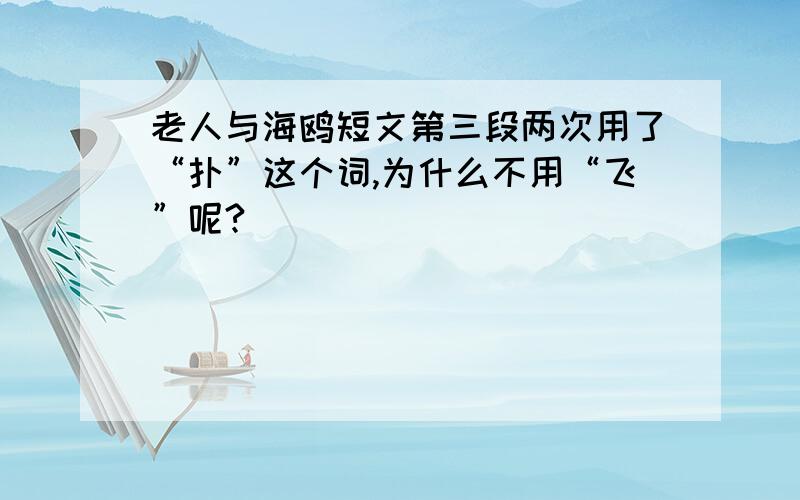 老人与海鸥短文第三段两次用了“扑”这个词,为什么不用“飞”呢?