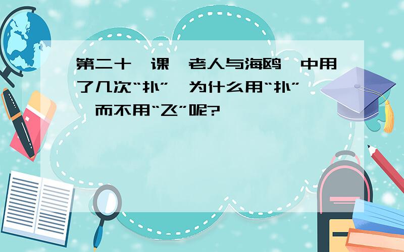 第二十一课《老人与海鸥》中用了几次“扑”,为什么用“扑”,而不用“飞”呢?