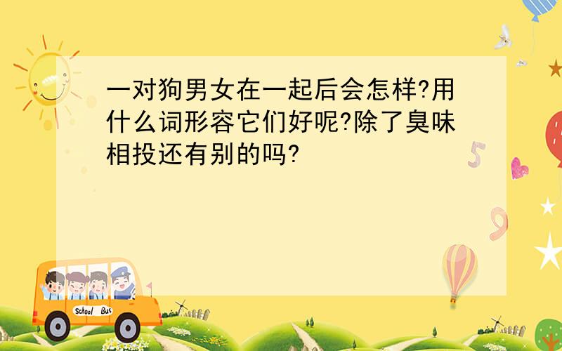 一对狗男女在一起后会怎样?用什么词形容它们好呢?除了臭味相投还有别的吗?