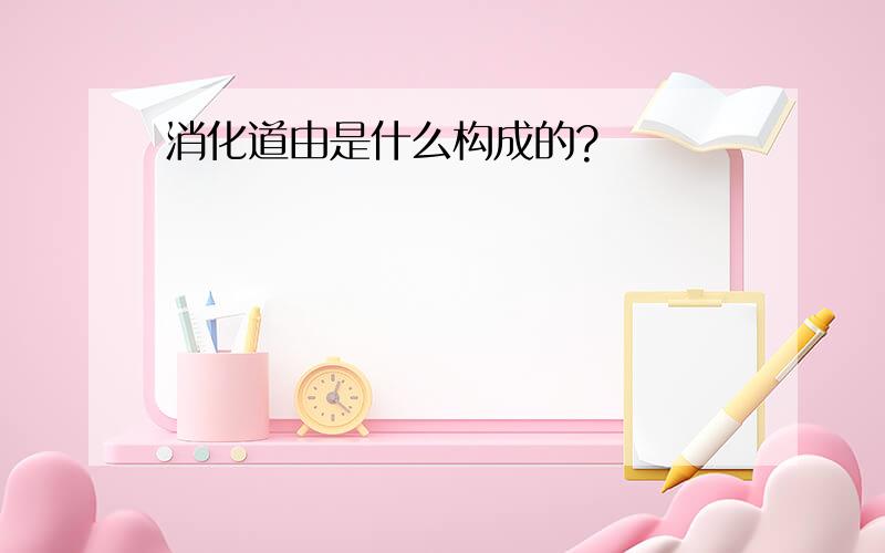 消化道由是什么构成的?