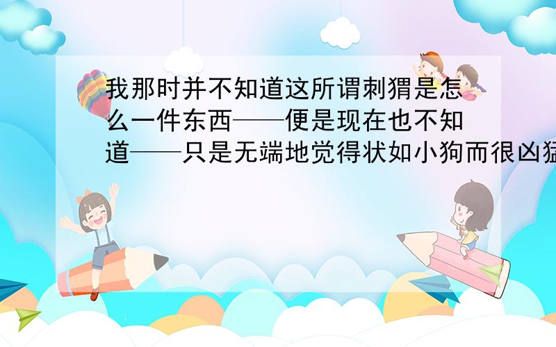 我那时并不知道这所谓刺猬是怎么一件东西——便是现在也不知道——只是无端地觉得状如小狗而很凶猛这句话中的破折号的作用是什么?