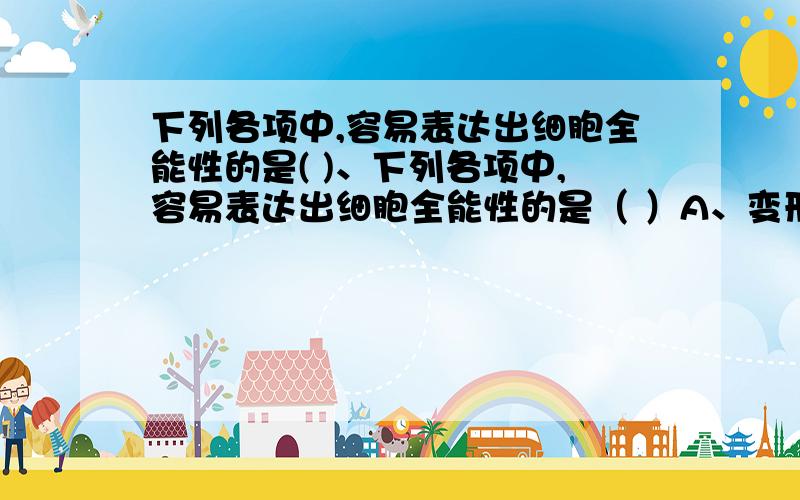 下列各项中,容易表达出细胞全能性的是( )、下列各项中,容易表达出细胞全能性的是（ ）A、变形虫B、细菌C、棉花的受精卵D、大熊猫的肌肉组织