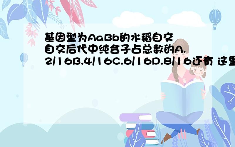 基因型为AaBb的水稻自交 自交后代中纯合子占总数的A.2/16B.4/16C.6/16D.8/16还有 这里的纯合子是指AABB或aabb?如果是AAbb这一类的算不算是纯合子呢?