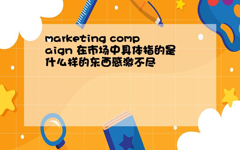 marketing compaign 在市场中具体指的是什么样的东西感激不尽