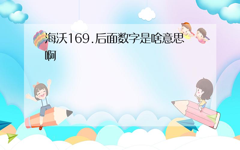 海沃169.后面数字是啥意思啊