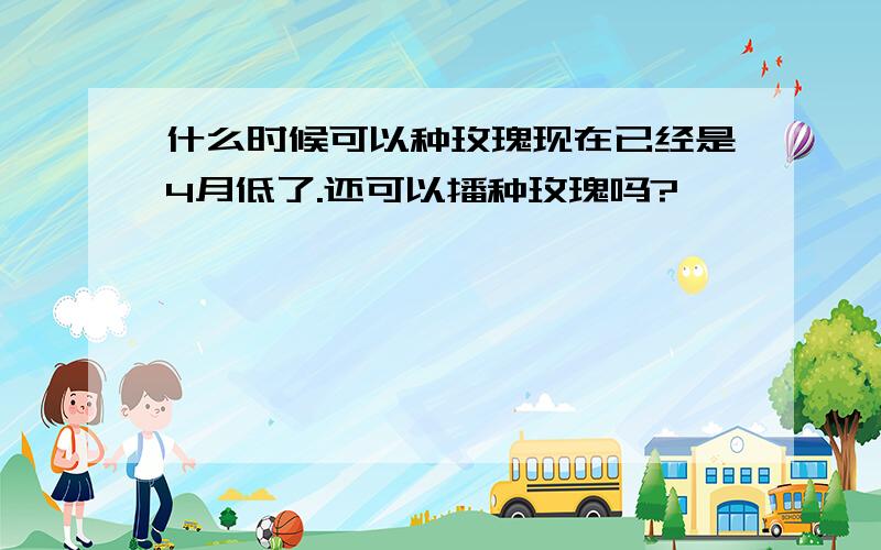 什么时候可以种玫瑰现在已经是4月低了.还可以播种玫瑰吗?