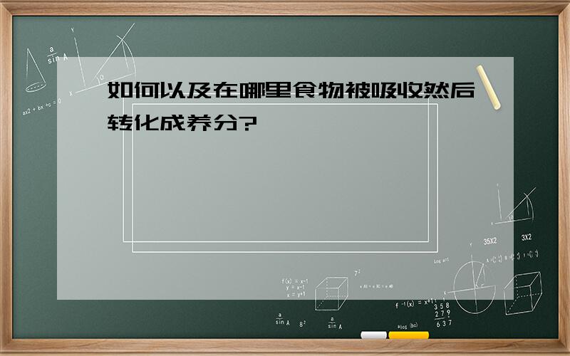 如何以及在哪里食物被吸收然后转化成养分?