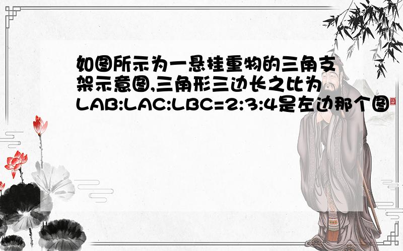 如图所示为一悬挂重物的三角支架示意图,三角形三边长之比为LAB:LAC:LBC=2:3:4是左边那个图