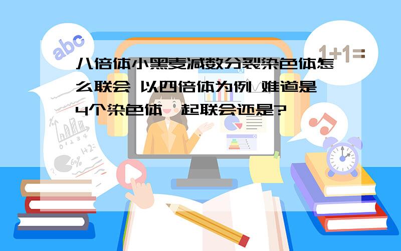 八倍体小黑麦减数分裂染色体怎么联会 以四倍体为例 难道是4个染色体一起联会还是?