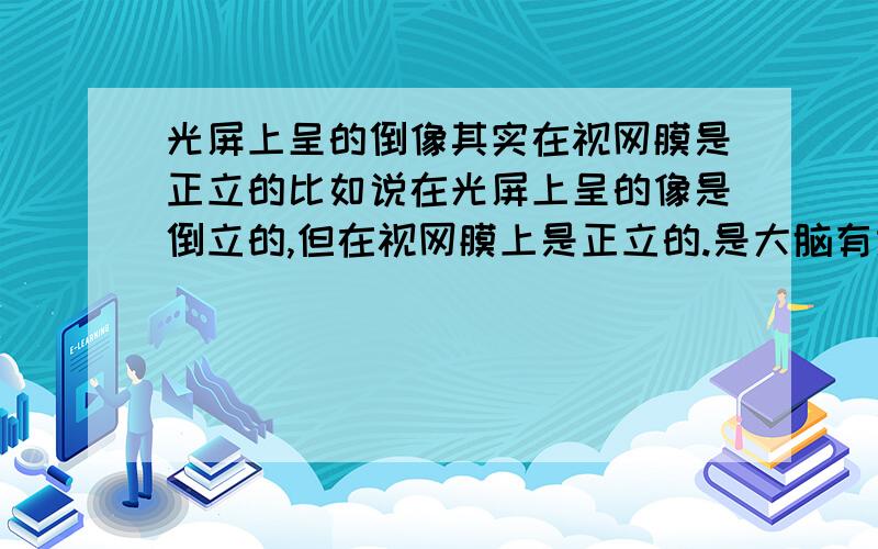 光屏上呈的倒像其实在视网膜是正立的比如说在光屏上呈的像是倒立的,但在视网膜上是正立的.是大脑有意识的倒过来的?所以看过去是倒立的?