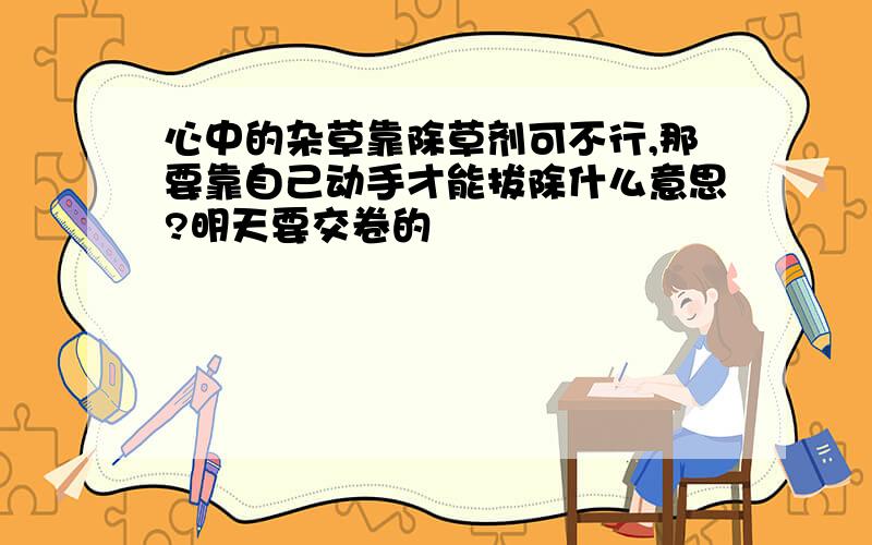 心中的杂草靠除草剂可不行,那要靠自己动手才能拔除什么意思?明天要交卷的