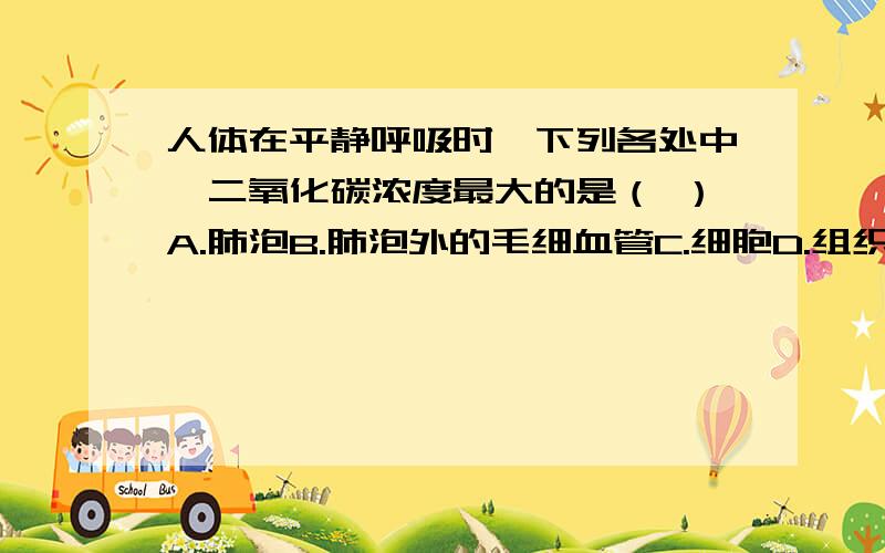 人体在平静呼吸时,下列各处中,二氧化碳浓度最大的是（ ）A.肺泡B.肺泡外的毛细血管C.细胞D.组织处毛细血管