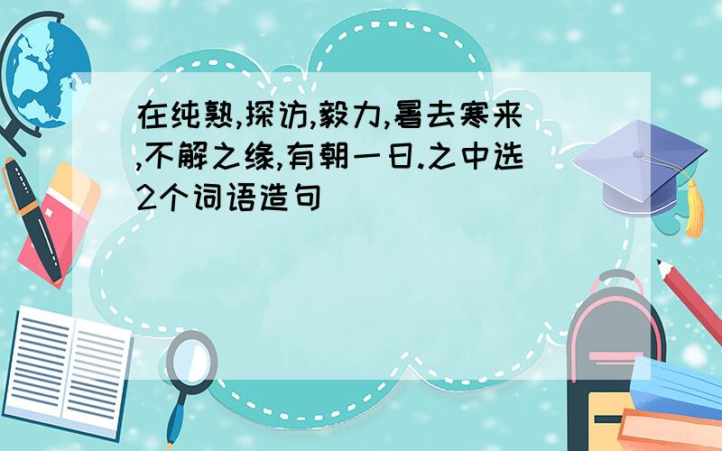 在纯熟,探访,毅力,暑去寒来,不解之缘,有朝一日.之中选2个词语造句