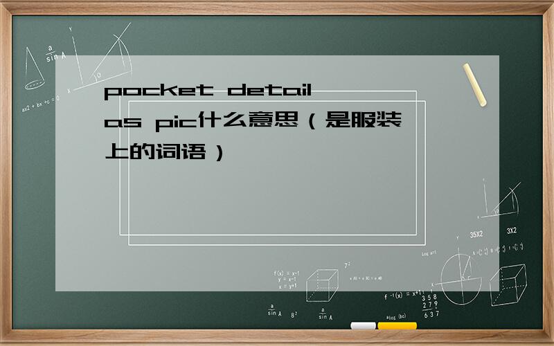 pocket detail as pic什么意思（是服装上的词语）