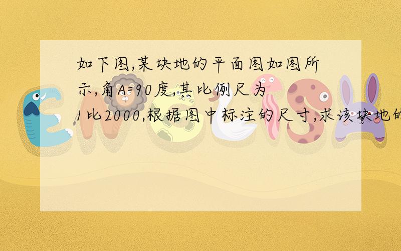 如下图,某块地的平面图如图所示,角A=90度,其比例尺为1比2000,根据图中标注的尺寸,求该块地的实际周长和面积.｛单位cm｝