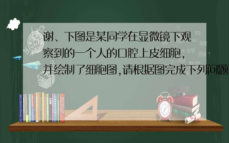 谢、下图是某同学在显微镜下观察到的一个人的口腔上皮细胞,并绘制了细胞图,请根据图完成下列问题：（1）该图至少有三处结构上的错误,请指出.橙色：细胞质 灰色：细胞核 直线：线粒体