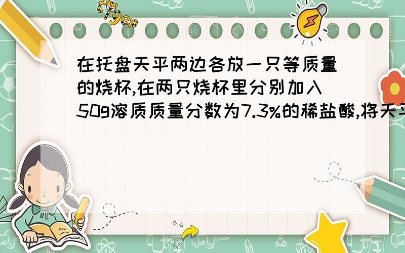 在托盘天平两边各放一只等质量的烧杯,在两只烧杯里分别加入50g溶质质量分数为7.3%的稀盐酸,将天平调节至平衡；然后向左右两烧杯中分别加入一定质量的下列各组物质,充分反应后,天平发
