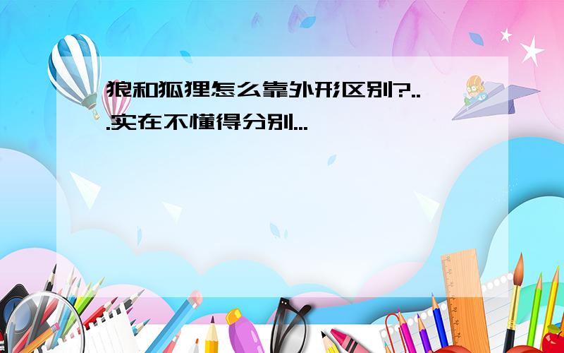 狼和狐狸怎么靠外形区别?...实在不懂得分别...